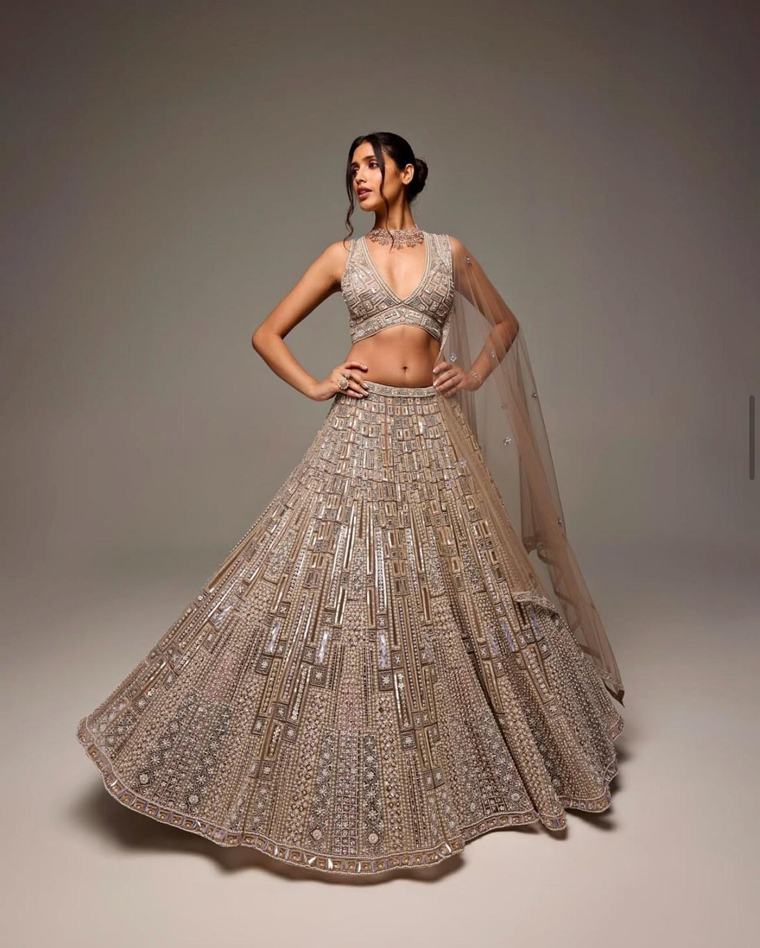 Brunette Radiance Lehenga Choli