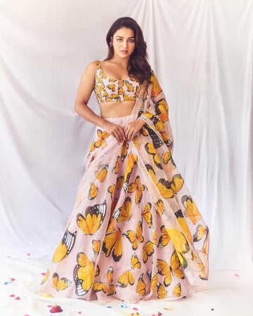 Butterfly Dreams Lehenga Choli