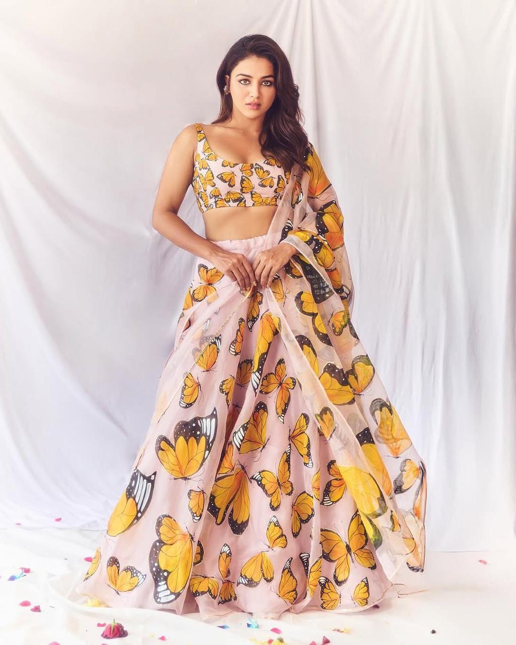 Butterfly Dreams Lehenga Choli